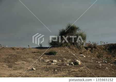 Abstract close-up of sand ripples on a beach in Vlora, Albania, captured on August  2025. Warm sunset light creates soft golden highlights and contrasting shadows, forming natural patterns  135983152