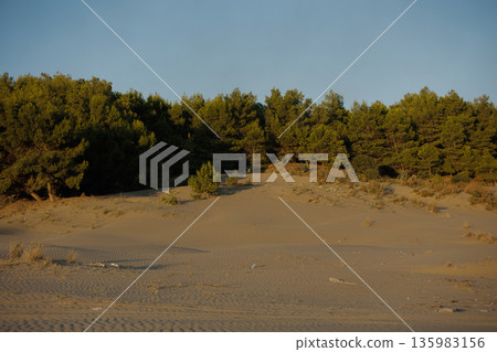 Abstract close-up of sand ripples on a beach in Vlora, Albania, captured on August  2025. Warm sunset light creates soft golden highlights and contrasting shadows, forming natural patterns  135983156