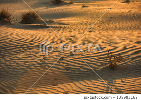 Abstract close-up of sand ripples on a beach in Vlora, Albania, captured on August 2025. Warm sunset light creates soft golden highlights and contrasting shadows, forming natural patterns Abstract close-up of sand ripples on a beach in Vlora, Albania, captured on August 2025. Warm sunset light creates soft golden highlights and contrasting shadows, forming natural patterns 135983162