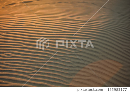 Abstract close-up of sand ripples on a beach in Vlora, Albania, captured on August  2025. Warm sunset light creates soft golden highlights and contrasting shadows, forming natural patterns  135983177