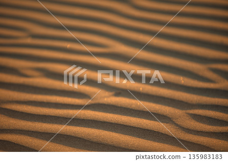 Abstract close-up of sand ripples on a beach in Vlora, Albania, captured on August  2025. Warm sunset light creates soft golden highlights and contrasting shadows, forming natural patterns  135983183
