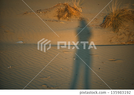 Abstract close-up of sand ripples on a beach in Vlora, Albania, captured on August 2025. Warm sunset light creates soft golden highlights and contrasting shadows, forming natural patterns Abstract close-up of sand ripples on a beach in Vlora, Albania, captured on August 2025. Warm sunset light creates soft golden highlights and contrasting shadows, forming natural patterns 135983192