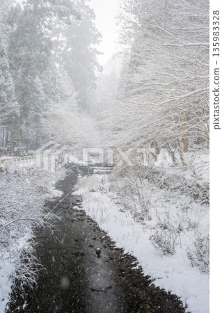 京都貴船川雪景 135983328