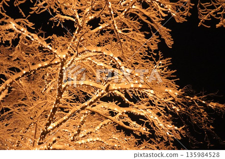 A romantic winter scene woven with snow and light A romantic winter scene woven with snow and light 135984528