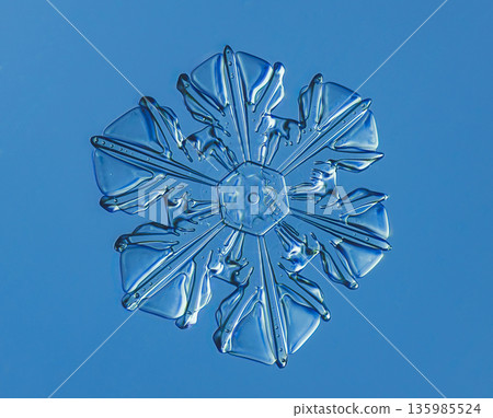 Natural snowflake crystal in blue background Natural snowflake crystal in blue background 135985524