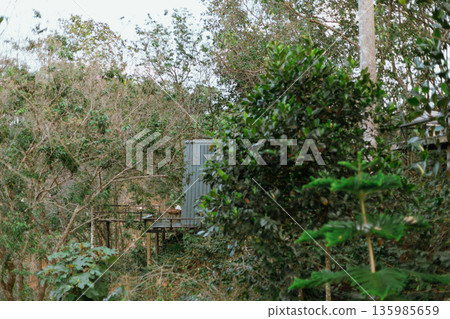 Doi Pang Khon in Chiang Rai, Thailand Doi Pang Khon in Chiang Rai, Thailand 135985659