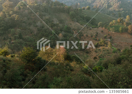Doi Pang Khon in Chiang Rai, Thailand Doi Pang Khon in Chiang Rai, Thailand 135985661