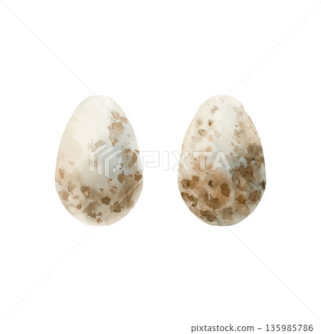 Bird eggs brown spotted. Watercolor hand drawn illustration isolated on white background for Easter spring design cottagecore decor card poster print home textile postcard poster sticker 135985786