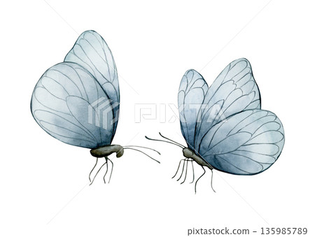 Blue butterflies. Insects watercolor illustration hand painted isolated on white background for invitations greeting cards posters labels wallpapers wrappers fabrics textile backgrounds web design Blue butterflies. Insects watercolor illustration hand painted isolated on white background for invitations greeting cards posters labels wallpapers wrappers fabrics textile backgrounds web design 135985789