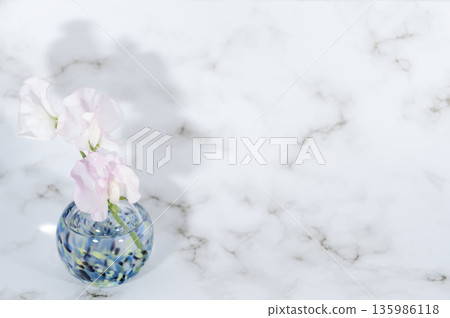 一束插在冷色調玻璃花瓶裡的香豌豆（左圖） 135986118