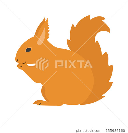 Vector flat hand drawn squirrel Vector flat hand drawn squirrel 135986160
