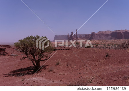 Monument Valley Totem Poles and Jennifer Tree 135986489