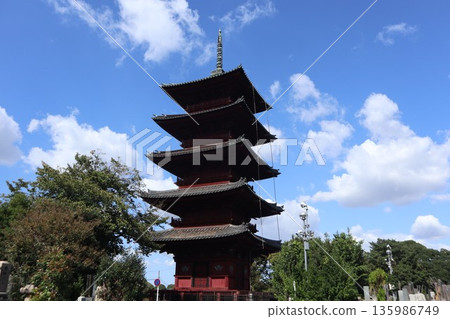 Ikegami Honmonji Temple 135986749