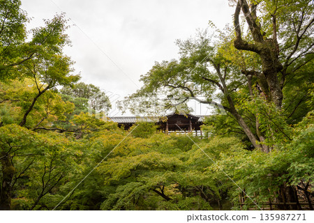 Tofukuji Temple in Kyoto Prefecture - Autumn leaves and fresh greenery Tofukuji Temple in Kyoto Prefecture - Autumn leaves and fresh greenery 135987271