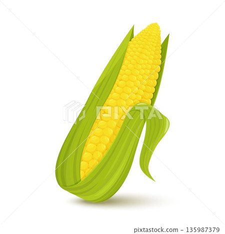 corn icon on white background 135987379