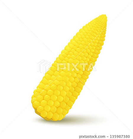 sweet corn isolated on white background 135987380
