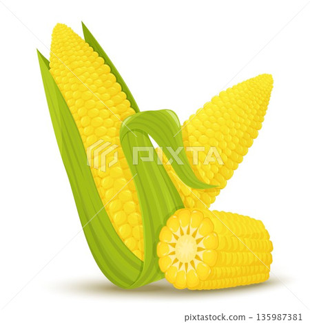 ripe corn on a white background 135987381