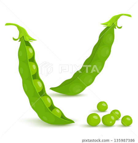 Green pea. Green peas pods isolated on white background, vector flat style 135987386