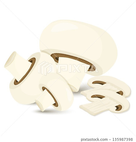 mushroom champignon mushrooms isolated on white 135987398