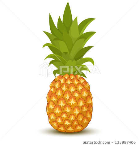 Pineapple isolated on a white background. Vector illustration of tropical fruit in cartoon flat style. Pineapple isolated on a white background. Vector illustration of tropical fruit in cartoon flat style. 135987406