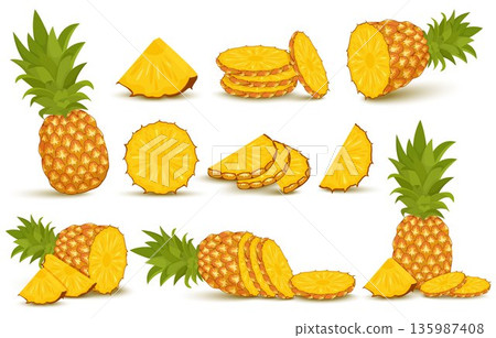 Pineapple set. Pineapple collection. Whole and sliced pineapple isolated on white background with clipping path 135987408