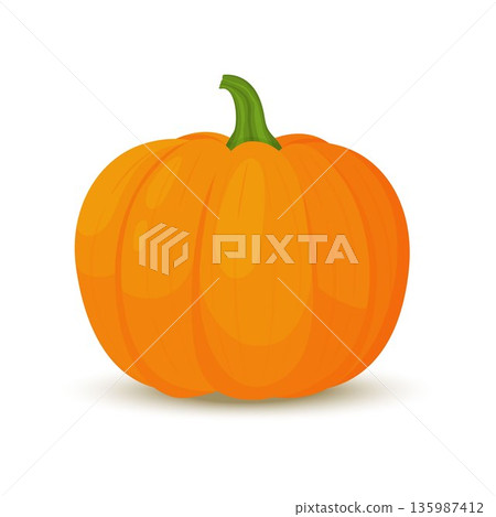 Pumpkin icon in flat style. Isolated object. Pumpkin logo. Vegetable from the farm. Organic food. Vector illustration. 135987412