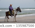 Horse on the seashore.One white horse with a rider stands on the seashore. 135987500