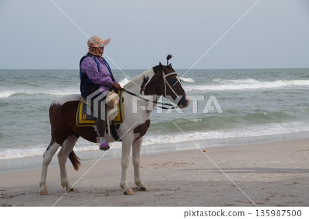 Horse on the seashore.One white horse with a rider stands on the seashore. Horse on the seashore.One white horse with a rider stands on the seashore. 135987500