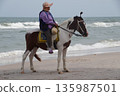 One white horse with a rider stands on the seashore.Horse on the seashore. 135987501