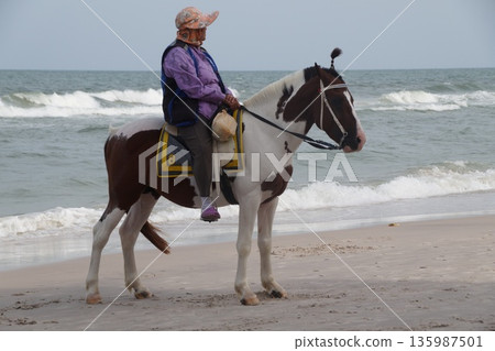 One white horse with a rider stands on the seashore.Horse on the seashore. 135987501