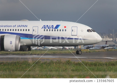 All Nippon Airways All Nippon Airways 135987605