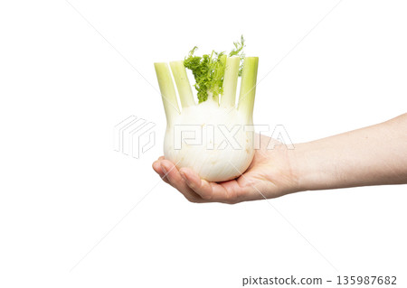 a fennel a fennel 135987682