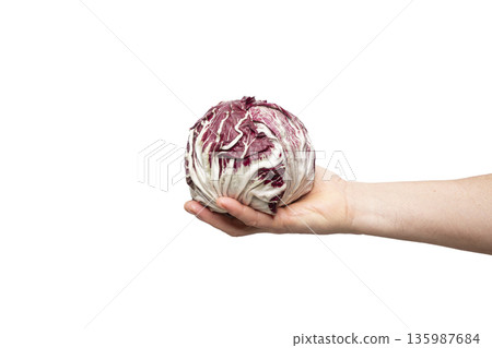 a head of red radicchio a head of red radicchio 135987684