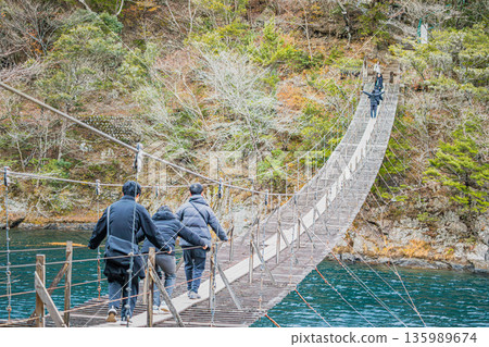 位於川根町（靜岡縣）的洲又峽夢幻大吊橋的景色 135989674