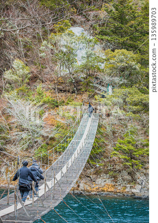 靜岡縣川根本町須摩多峽夢幻吊橋景色 135989703