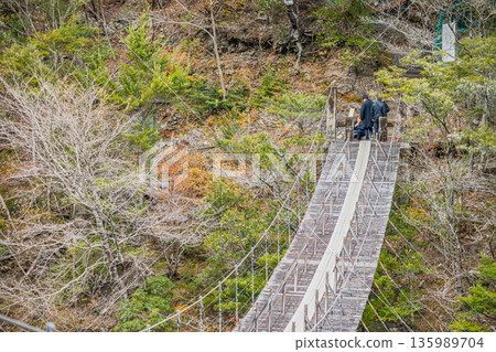 位於川根町（靜岡縣）的洲又峽夢幻大吊橋的景色 135989704