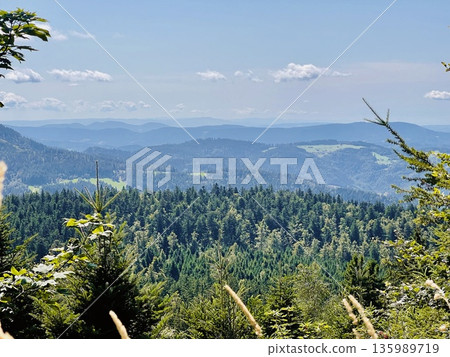 Black forest hills panorama view from schwarzwaldhochstrase 135989719