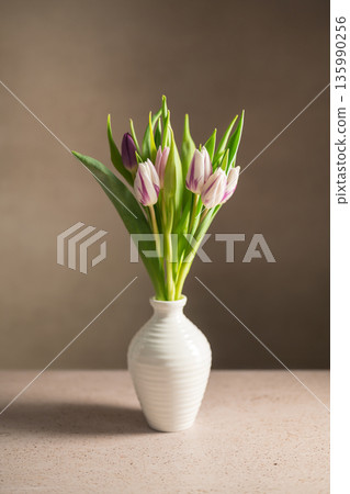 Spring floral background. Fresh purple and pink tulips flowers bouquet in white vase. Mother's day. Copy space Spring floral background. Fresh purple and pink tulips flowers bouquet in white vase. Mother's day. Copy space 135990256