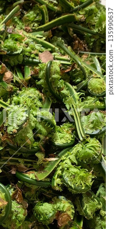 Freshly picked spring wild vegetables 135990637