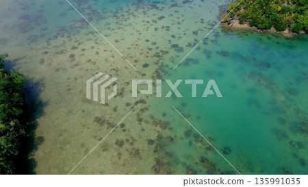 Aerial drone view of clear green water bordered by lush forested islands in Sambulawan Islets in Sipalay, Negros Oriental, Philippines Aerial drone view of clear green water bordered by lush forested islands in Sambulawan Islets in Sipalay, Negros Oriental, Philippines 135991035