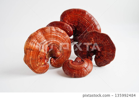 Lingzhi or Reishi mushroom with capsules, organic natural healthy food. 135992484