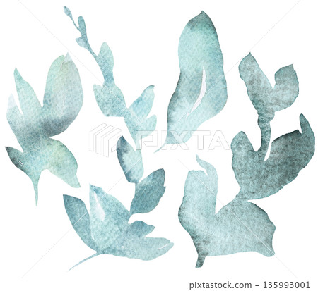 Watercolor light green leaves isolated illustration, pastel wedding stationery element Watercolor light green leaves isolated illustration, pastel wedding stationery element 135993001
