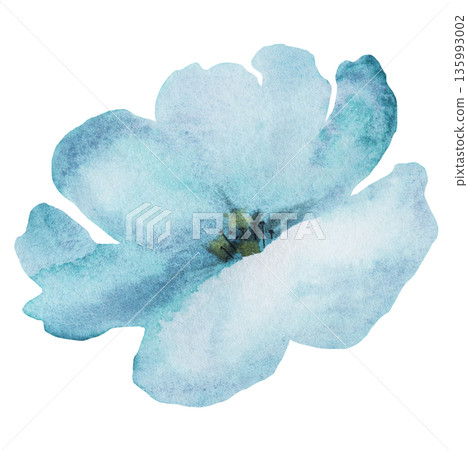 Watercolor light blue flower, isolated illustration, floral wedding and party stationery element Watercolor light blue flower, isolated illustration, floral wedding and party stationery element 135993002