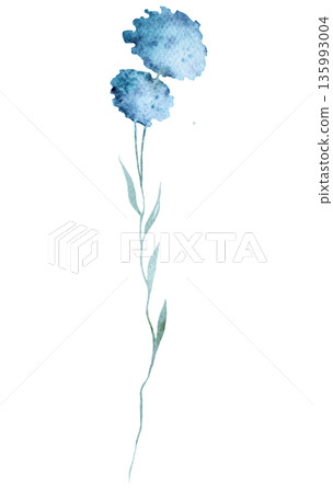 Watercolor light blue wild flower isolated illustration, pastel floral wedding and greeting element 135993004