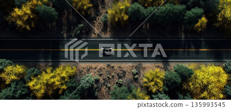 Aerial View of Straight Asphalt Road Surrounded by Lush Greenery and Yellow Foliage Aerial View of Straight Asphalt Road Surrounded by Lush Greenery and Yellow Foliage 135993545