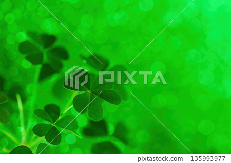 Shamrocks growing with glittering green bokeh background celebrating st patrick's day Shamrocks growing with glittering green bokeh background celebrating st patrick's day 135993977