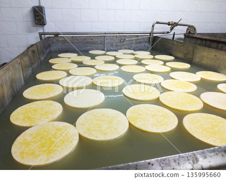Large wheels of cheese float in a bath of brine Large wheels of cheese float in a bath of brine 135995660