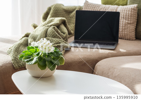 Laptop on Couch and Coffee Mug and Flower Pot on Table. Cozy Spring Home Workspace Laptop on Couch and Coffee Mug and Flower Pot on Table. Cozy Spring Home Workspace 135995910
