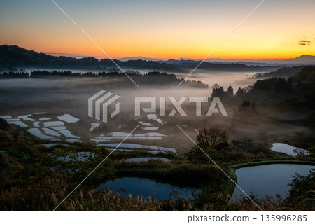 The rice terraces of Hoshitoge surrounded by a sea of clouds and a fantastic morning glow 135996285