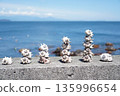 蔚藍的海邊，堆積著海螺。 135996654